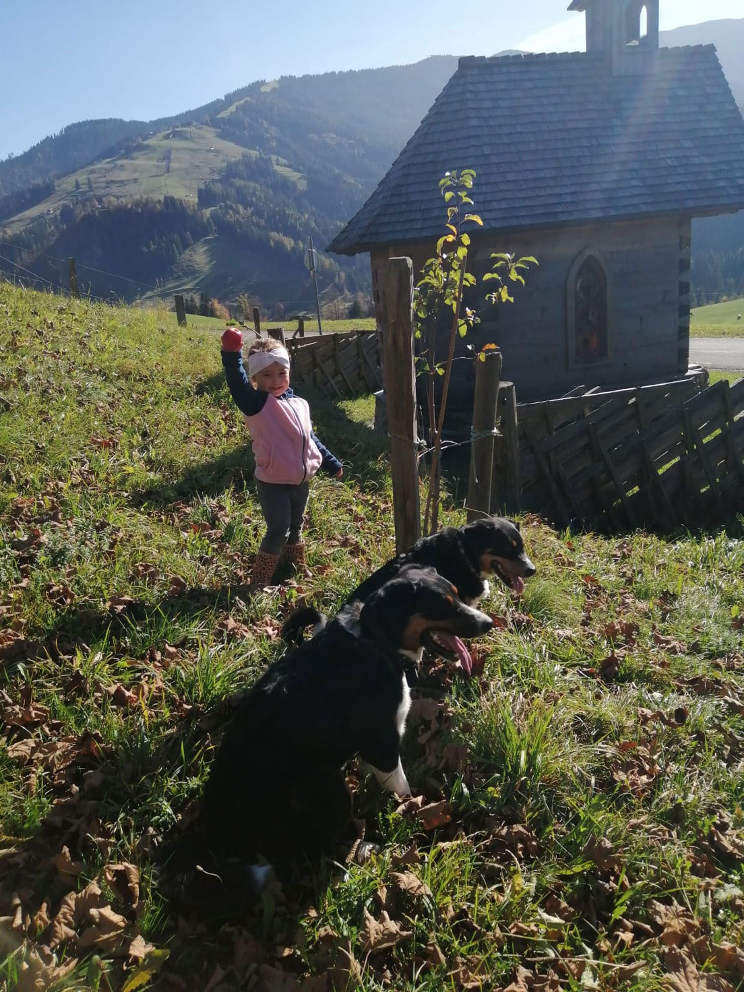 Gotthardhof_008