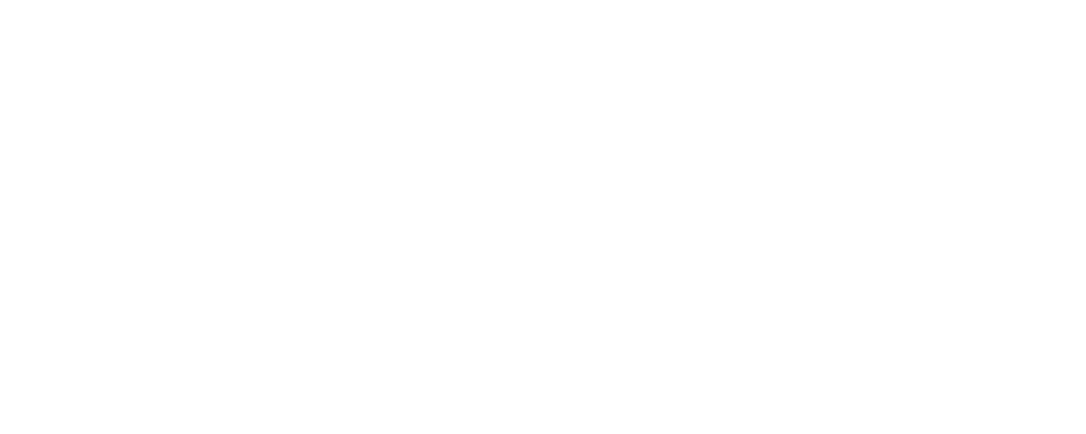 Logo light